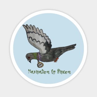 Navigation by Pigeon Magnet